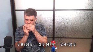 Любимый город на губной гармошке