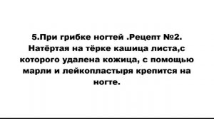 ПЯТЬ БЕСЦЕННЫХ СПОСОБОВ ИСПОЛЬЗОВАНИЯ ДЕНЕЖНОГО ДЕРЕВА