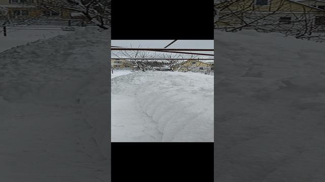 Снежная зима в Твери. 18.02.24