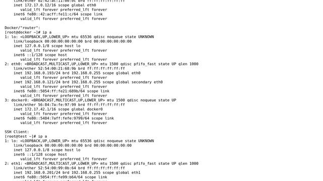 SFTP connections to docker container break when using packet forwarding instead of port binding смотреть онлайн