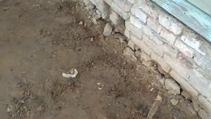 06 2019 Свайно ростверковый фундамент для кирпичного дома.  Выбор фундамента