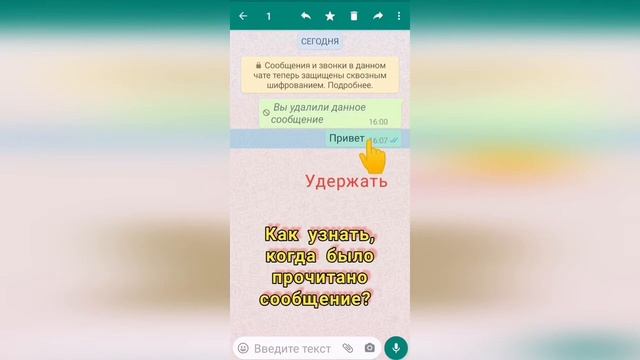 Когда прочитано сообщение в WhatsApp