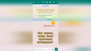 Когда прочитано сообщение в WhatsApp