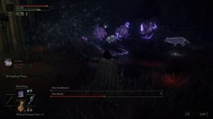 Elden Ring - Nyxx vs. Nox Priest & Swordstress