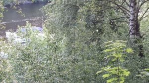 VID_20230613_202041.mp4