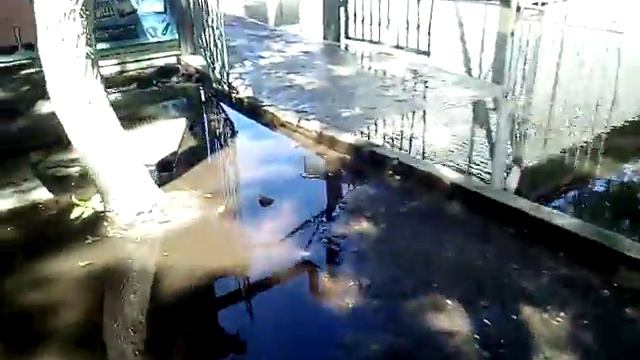 1СЕЗОН ИДЕМ В МАГАЗИН ЗА новыми БОМБОЧКАМИ!!!!!😃😃😃😃😉😉 смотреть онлайн