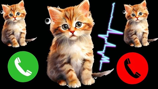 Apple best ringtone iPhone 15 Pro max 10:16 cat?#iphone смотреть онлайн