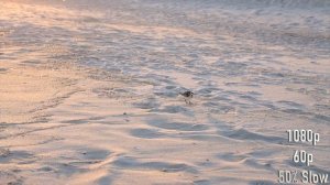 Canon 90D Video Test