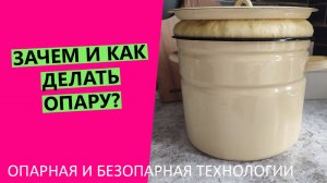 Зачем нужна опара? Об опарном и безопарном тесте | Как и для чего делать опару?