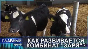 Совхоз-комбинат "Заря" —  хозяйство, независимое от внешнего рынка. Главный эфир