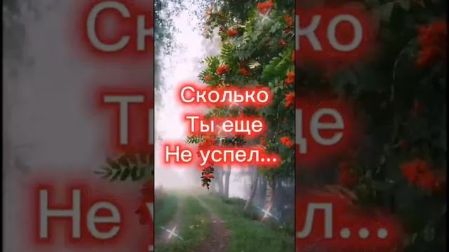 Жизнь похожа на осень. #shortvideo #сундучок #рекомендую #подпишись #юмор #весело #смехотдуши