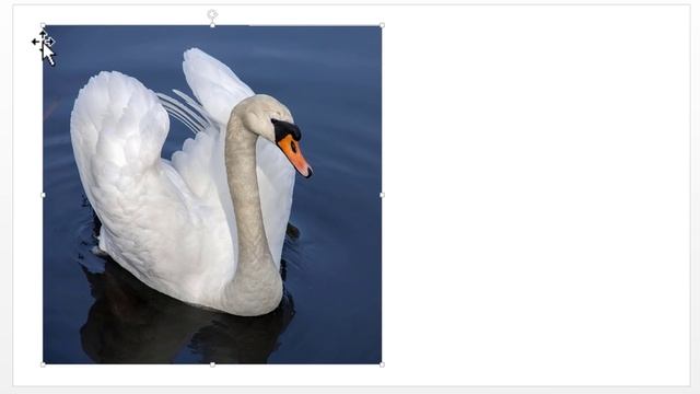 How to create Jigsaw Puzzle from Picture in PowerPoint смотреть онлайн