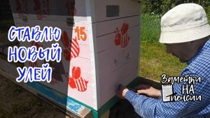 Подготовка нового места для установки ульев и установка улья лежака #пчёлы