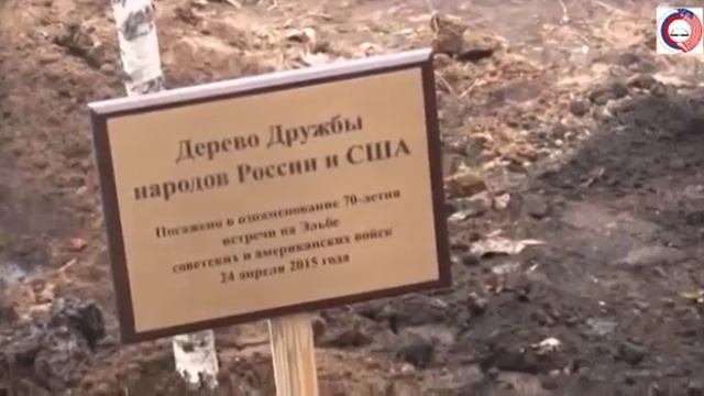 Журавли ( стихи Р. Гамзатов, муз Я. Френкель). Исп. Андрей Маликов
