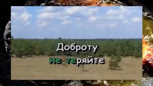 Детская песня Караоке Не волнуйтесь понапрасну