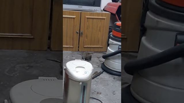 Приехал помыть машину смотреть онлайн