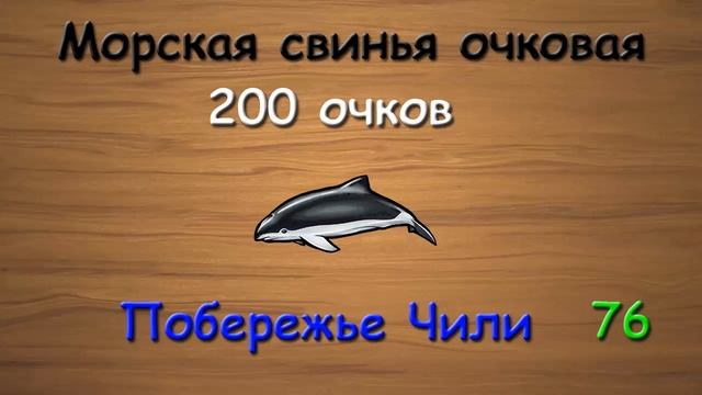 Русская Рыбалка 3.99 Редкие рыбы Патагонии смотреть онлайн