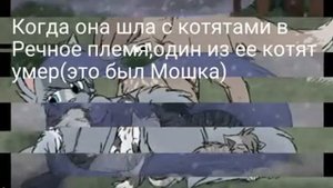 Коты воители История Синей Звезды