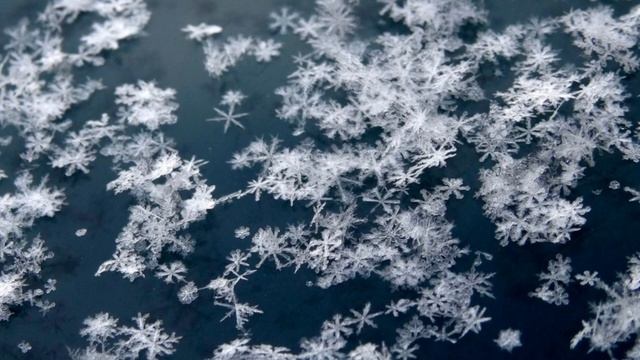 Почему снег белого цвета и скрипит под ногами? смотреть онлайн