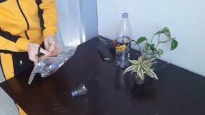 Живая стена своими руками. ⬇️