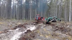 Подготовка почвы в лесу