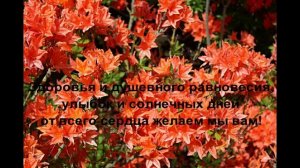 Поздравляю с Международным женским днем!