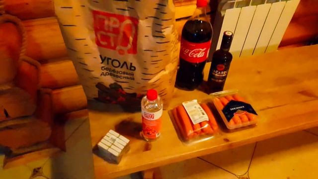 Влог. Поездка семьей в Ярославль: зоопарк, аквапарк, шоппинг. Сняли двухэтажный дом. смотреть онлайн