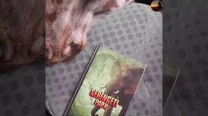 Кормление Жирафа в Серенгети парк #wildlife #жираф #животные #природа #giraffe #animals #tiere