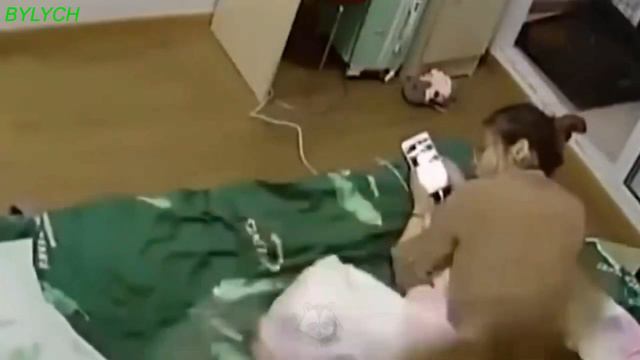 Смешное видео про животных, кошки,собаки, 2019. смотреть онлайн