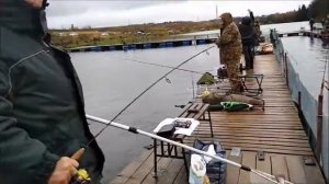 Рыбалка в Савельево на Ленинградке. Форель. 21.10.17г