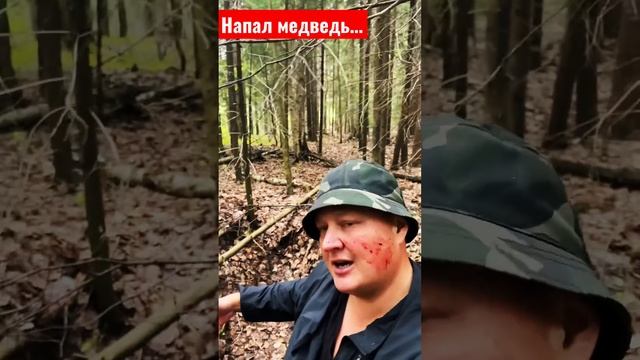 Про нападение медведя …