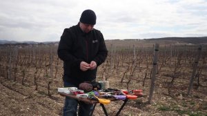 Профессиональная сухая подвязка виноградной лозы, скорость, качество и надёжность.