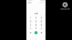 Переписки и звонки Samsung Galaxy Note 10+