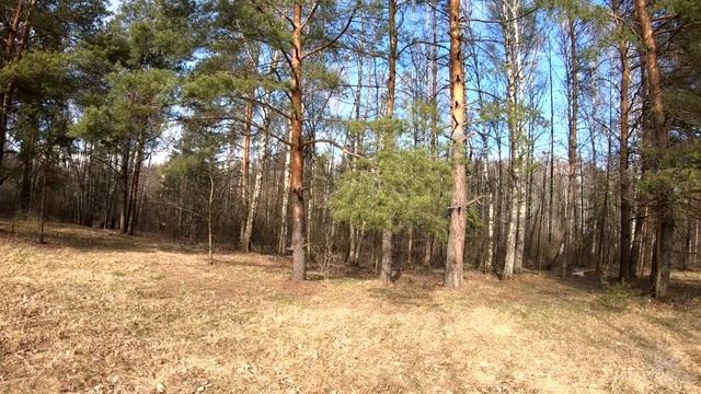 Весенняя прогулка вдоль Нерской. Озеро Земснаряд (Нерское озеро). смотреть онлайн