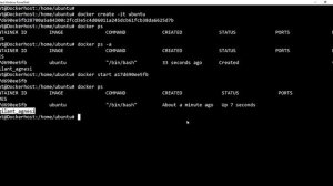 Docker Installation on Ubuntu machine and Docker Basic