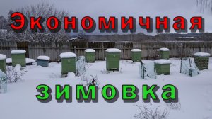 Экономичная зимовка пчел на улице. Устройство улья, теплые диафрагмы, утепление и вентиляция.