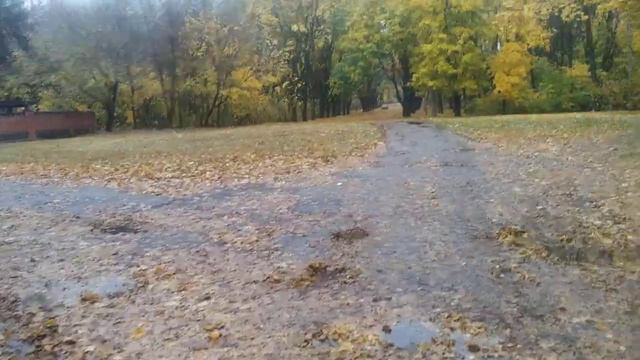 Иду на остров кормить котов смотреть онлайн