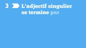 L'accord des adjectifs au pluriel en français