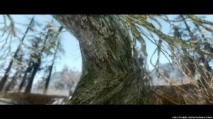 TES V - Skyrim Mods: 4K Parallax Treebark