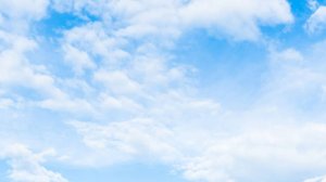 Мелитопольские голуби в Крыму. у Игоря в гостях...