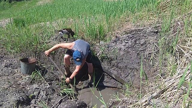 Чистка родника ведром в моем пруду зажигательно и грязно