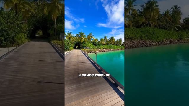 ВСЕ, ЧТО НУЖНО ЗНАТЬ О МАЛЬДИВСКИХ ДОМИКАХ НА ВОДЕ🔥#мальдивы #maldives #путешествие #путешествия смотреть онлайн