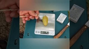 @Виноград Артек в Полтаві  #shortsyoutube