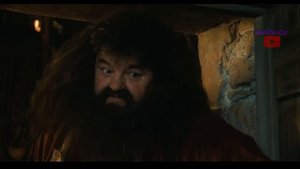 Гарри Поттер и Дагестанский камень (переозвучка)