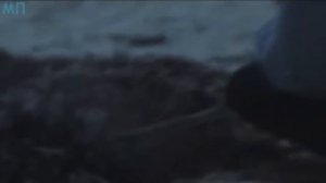 Они Нашли Настоящую РУСАЛКУ и Вот Что Произошло Далее...