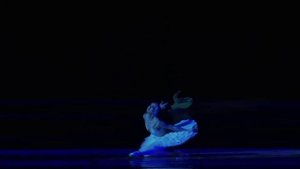 ЛЕБЕДЬ. Юлия МАХАЛИНА