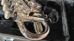 Yamaha YTR-6810S труба-пикколо