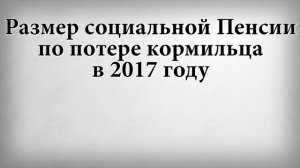 Размер социальной пенсии по потере кормильца в 2017 году