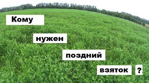 Кому нужен поздний взяток ?