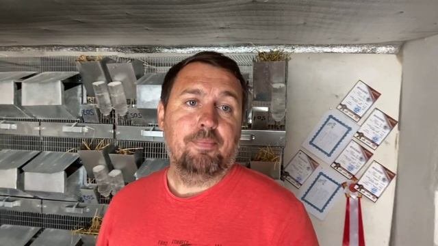 Новости моего хозяйства | Сельское хозяйство | Самый прибыльный сельскохозяйственный бизнес